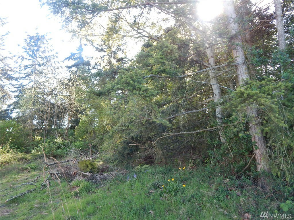 Property Photo: 1043 Cascade Lane WA 98282