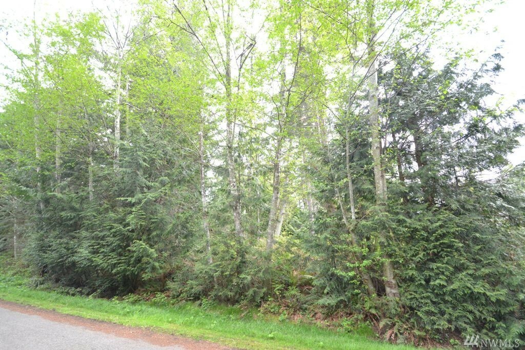 Property Photo:  0 Oak Ridge Dr  WA 98292 