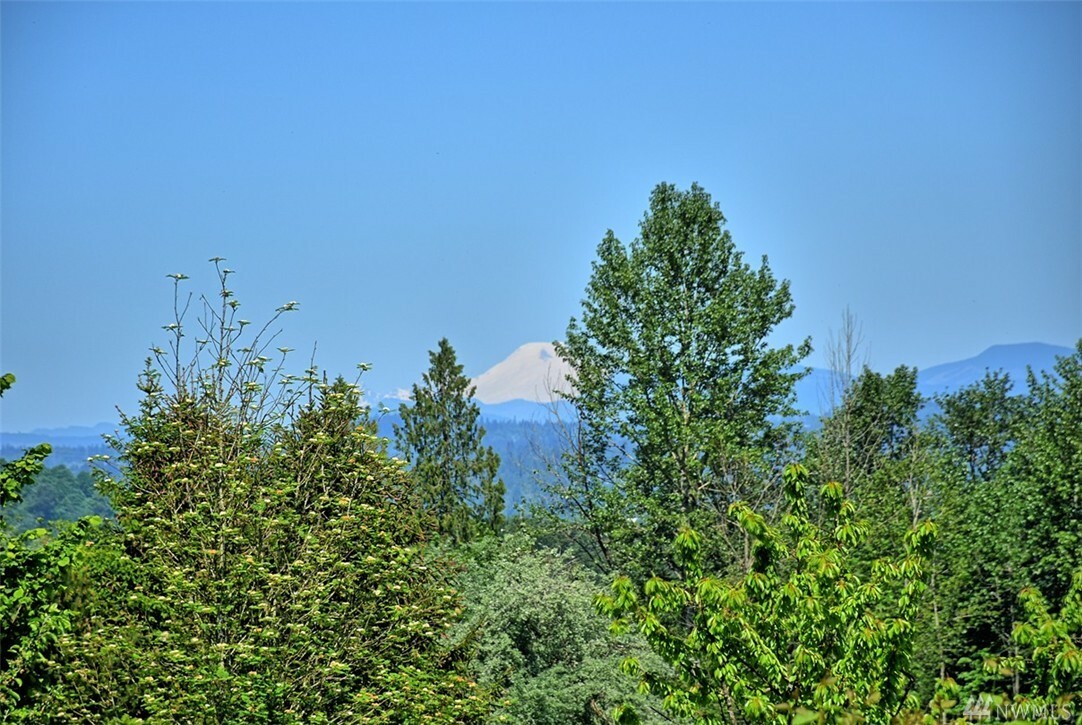 Property Photo:  21217 167th Ave SE  WA 98272 