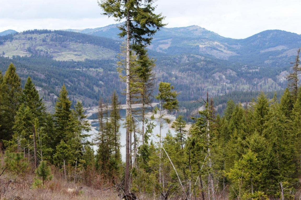 Property Photo: Tbd China Creek Rd WA 99126