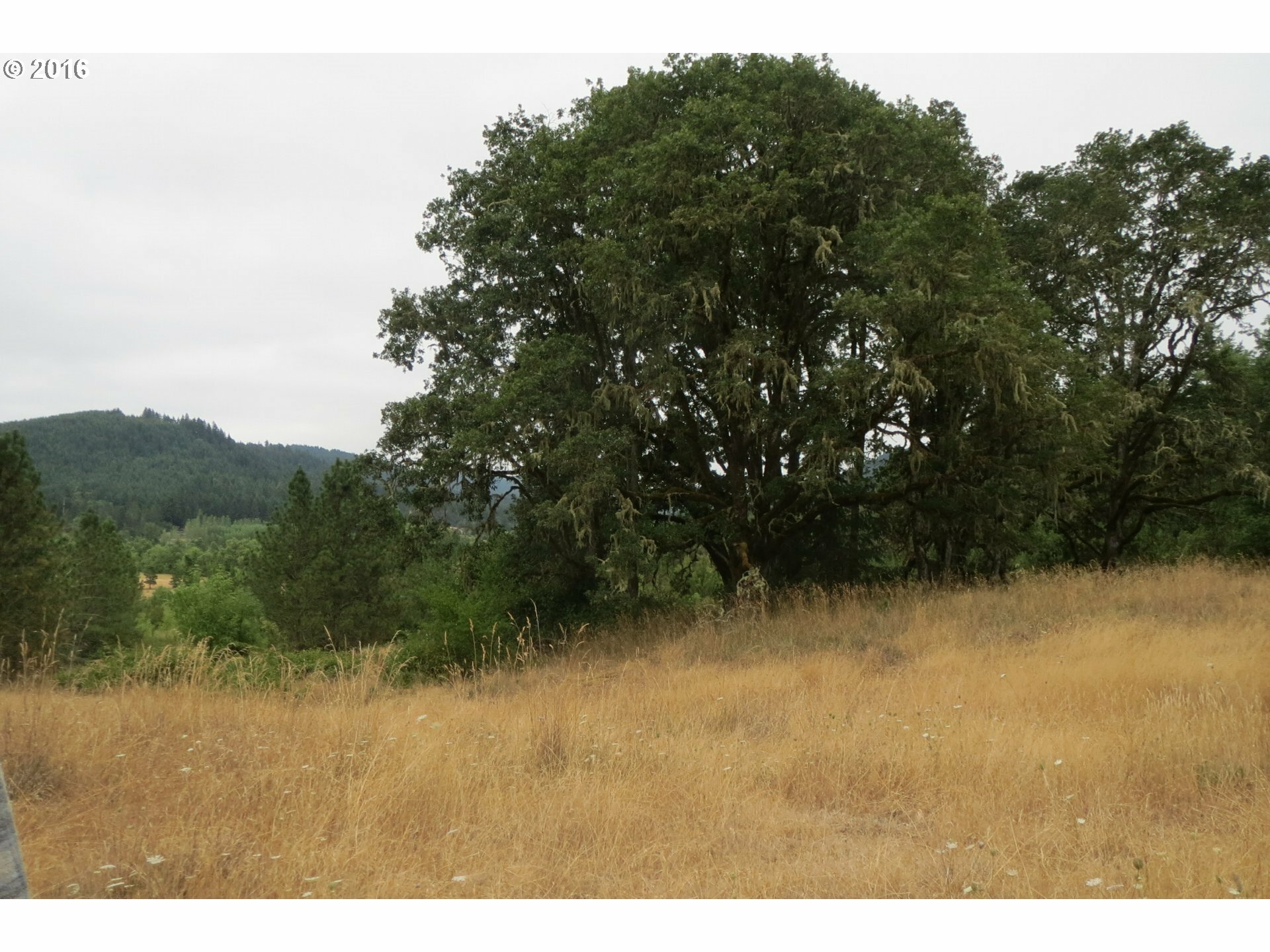 Property Photo:  Camas Swale Rd  OR 97426 