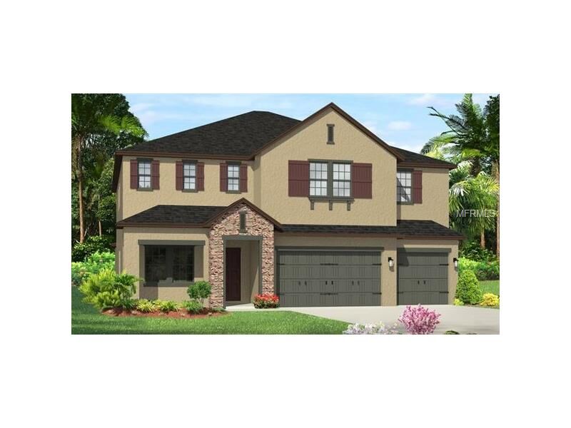 Property Photo:  17704 Daisy Farm Drive  FL 33559 