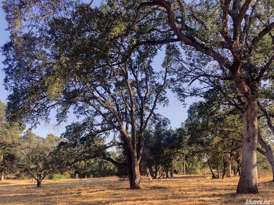 Property Photo: 0 Fruitvale Road CA 95648