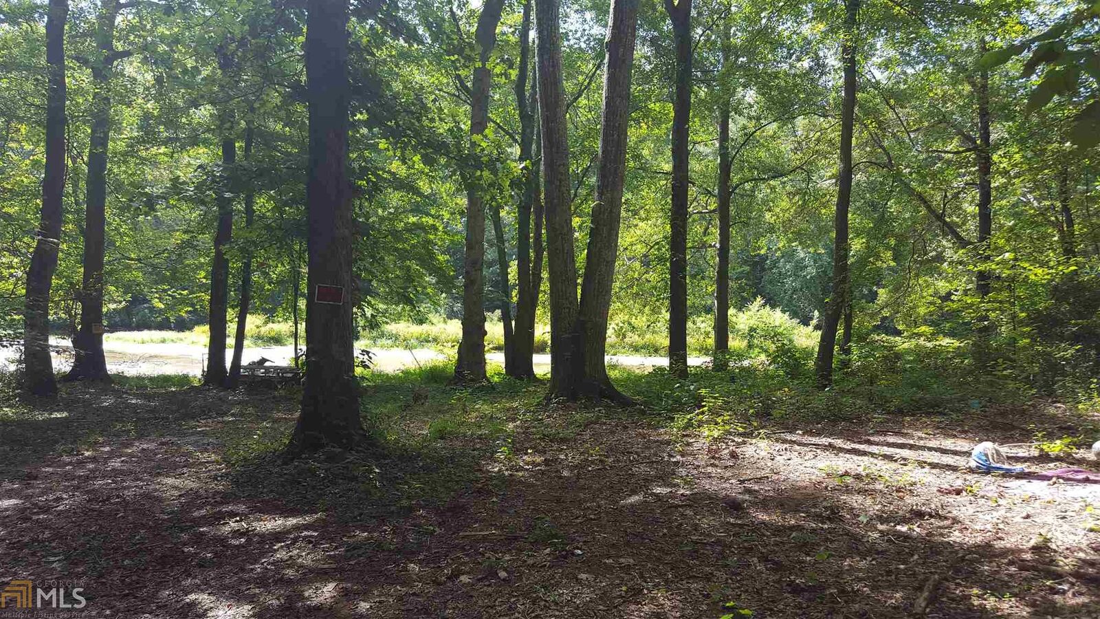 Property Photo: 10 River Oak Court GA 30179