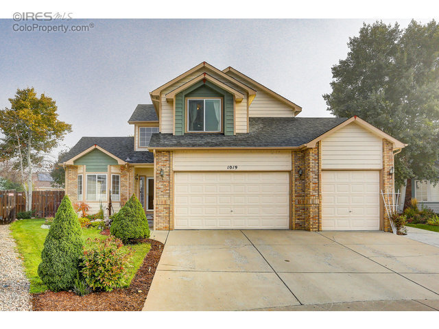Property Photo: 1019 Norfolk Pl CO 80538