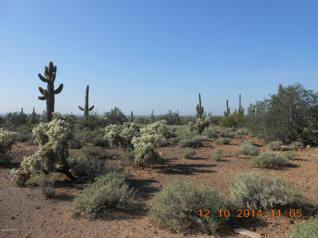 Property Photo:  5952 E Cactus Wren -- 0  AZ 85119 