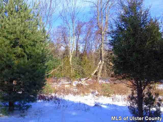 Property Photo: Tbd Palentown NY 12446