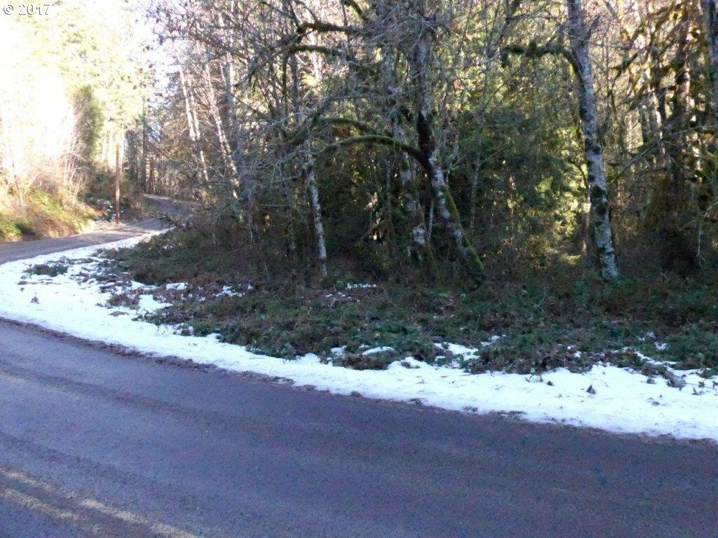 Baker Creek Rd  McMinnville OR 97128 photo