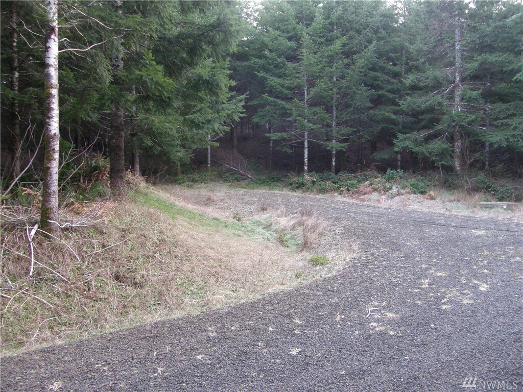 Property Photo: 115 Powers Creek Rd WA 98541