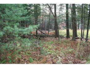 Property Photo: 422 Lyon Drive VT 05059