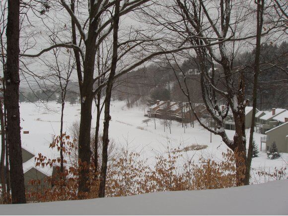 Property Photo: 860 Murphy'S Road 5D VT 05059