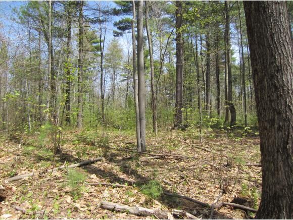 Property Photo:  0 Sand Hill Road  NH 03458 