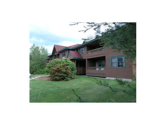 Property Photo:  169 Deer Park Drive 169-D  NH 03262 