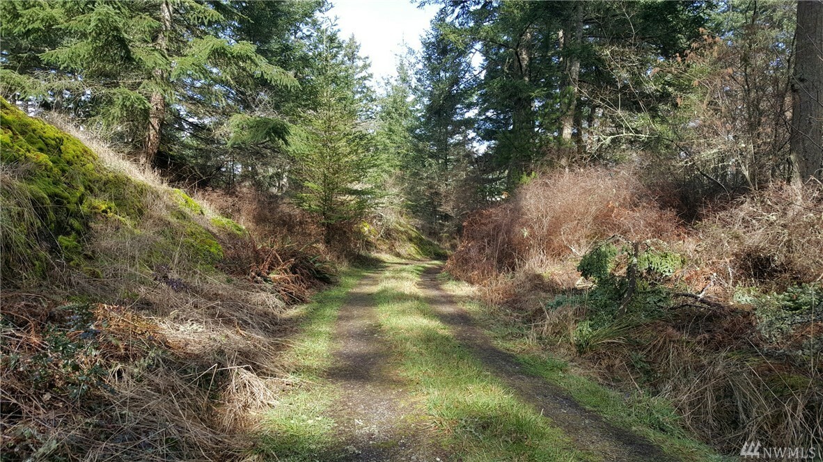 Property Photo:  378 Little Mt. Rd  WA 98250 