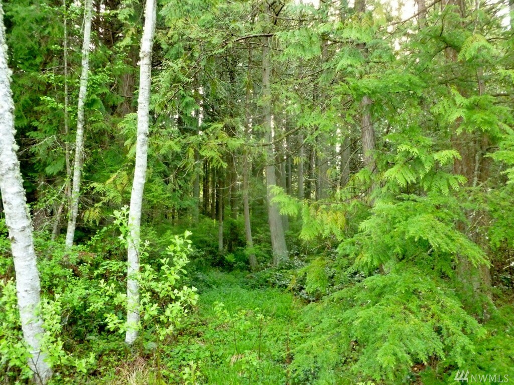 Property Photo: Xxx Thumper Place WA 98282