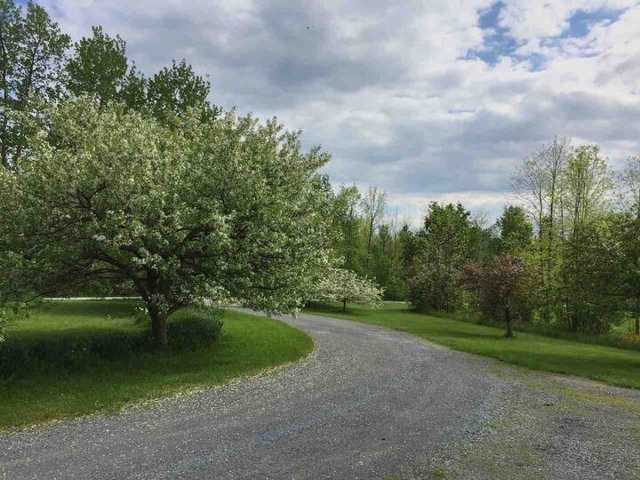 Property Photo:  3594 South Road  VT 05495 
