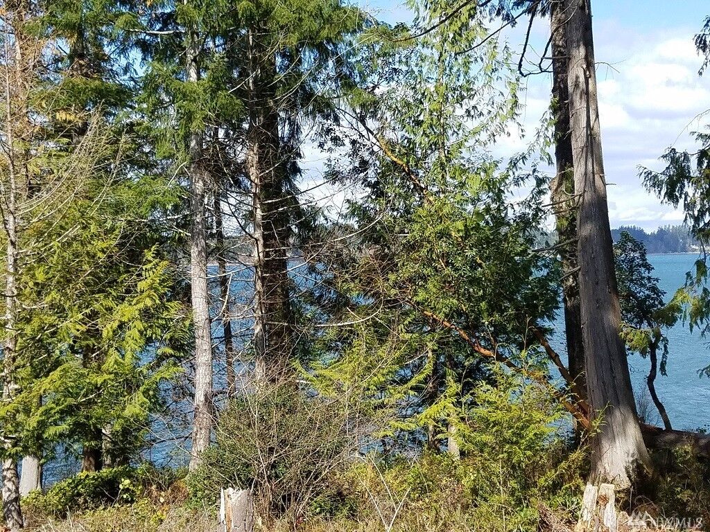 Property Photo:  5412 78th Ave NW  WA 98502 