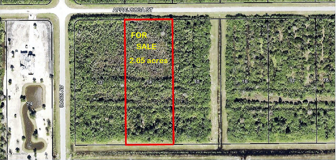 293 Appaloosa Street  Palm Bay FL 32909 photo