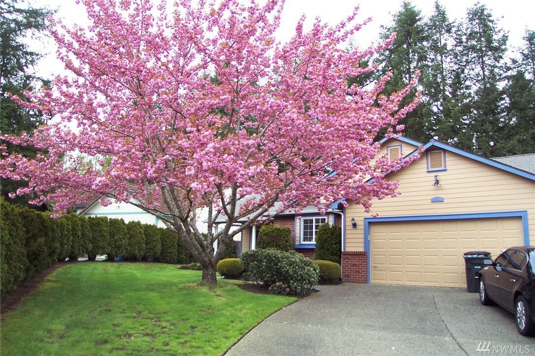 Property Photo:  5806 Donegal Ct SE  WA 98503 