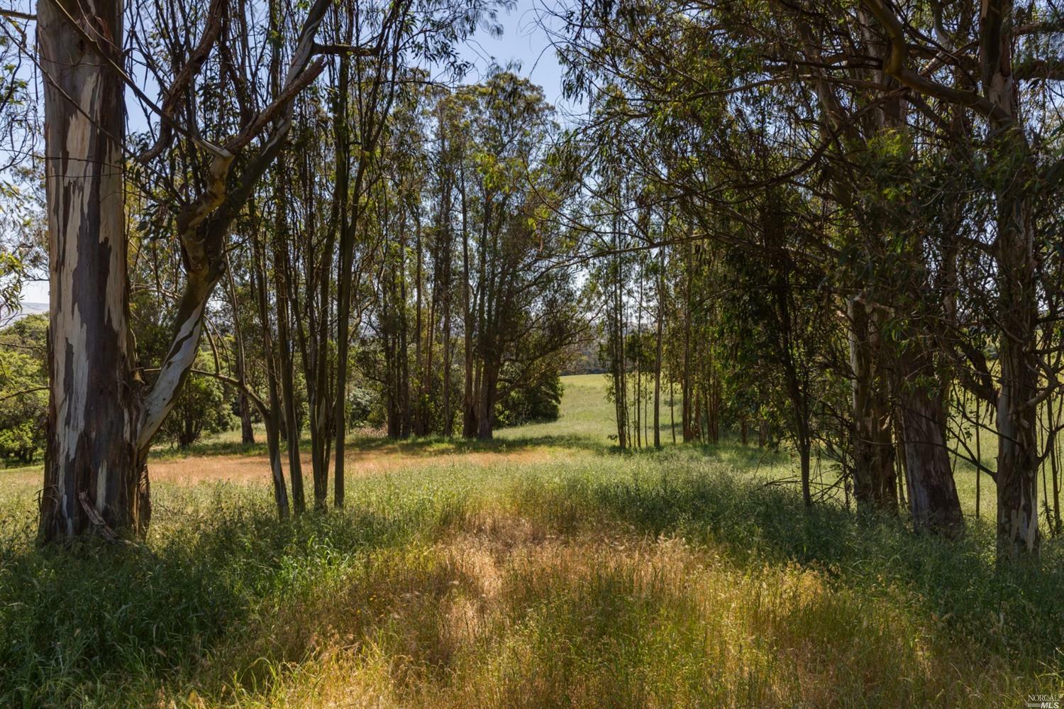Property Photo: 0 Anglers Way CA 94952