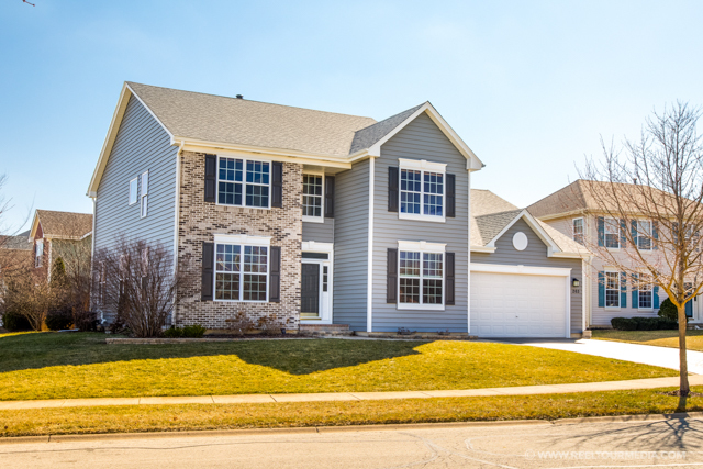 Property Photo: 265 Carlton Mews Court IL 60554