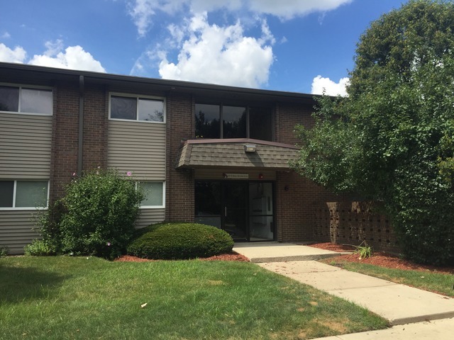 Property Photo: 4518 Beau Monde Drive 205 IL 60532