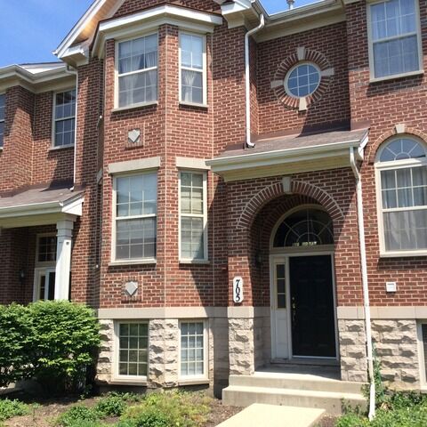 Property Photo: 705 Prestwick Lane IL 60090