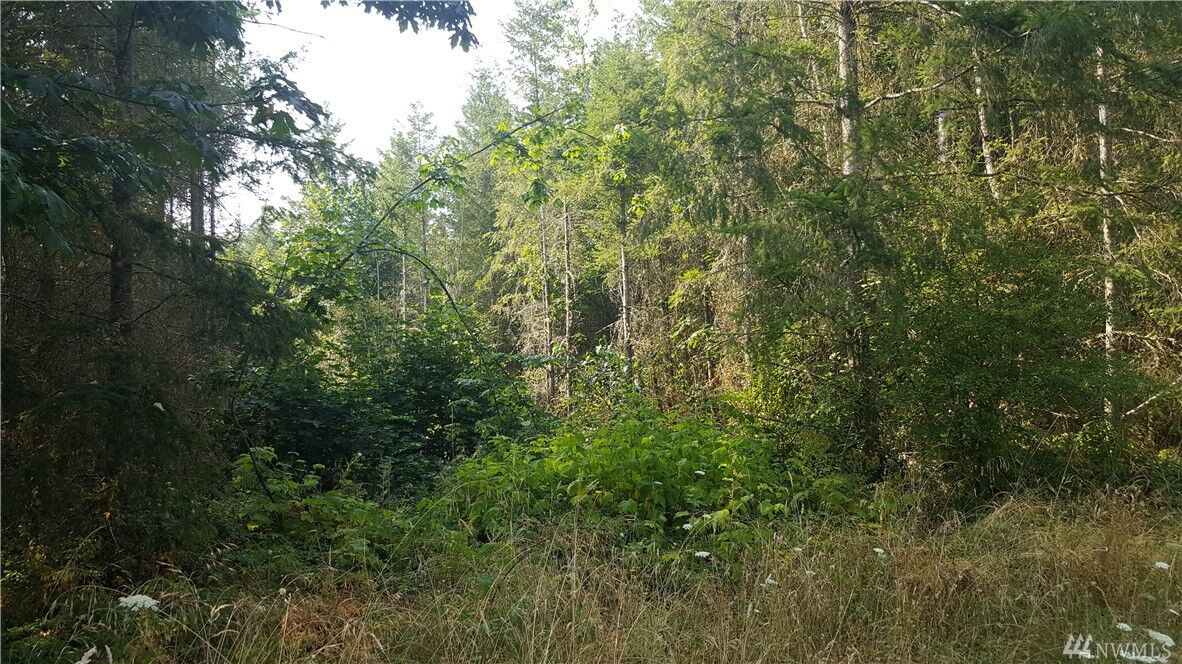 Property Photo:  14241 Rainier View Dr SE  WA 98597 