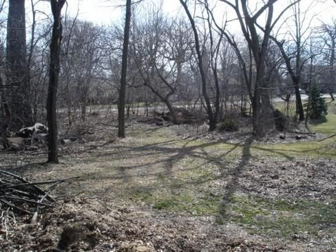 Property Photo:  505 Stevens Court  IL 60118 