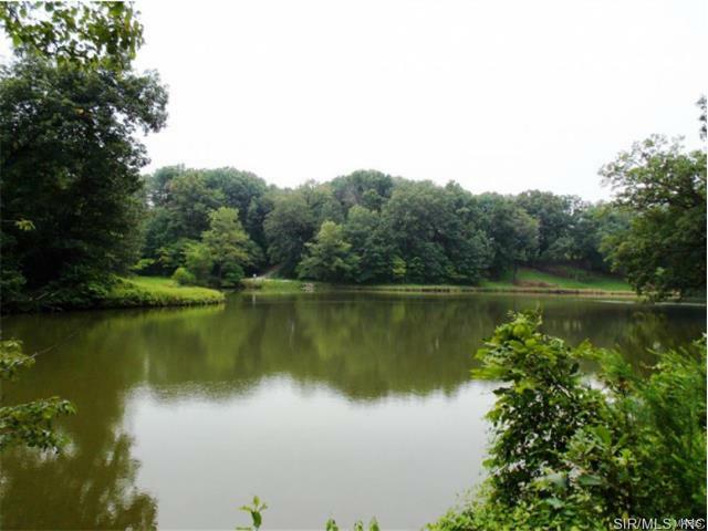 Property Photo: D Road IL 62236