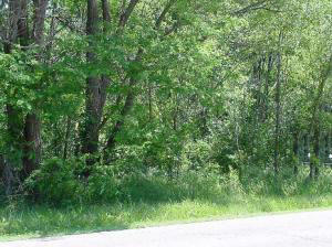 Property Photo:  0 368th Ave  WI 53181 