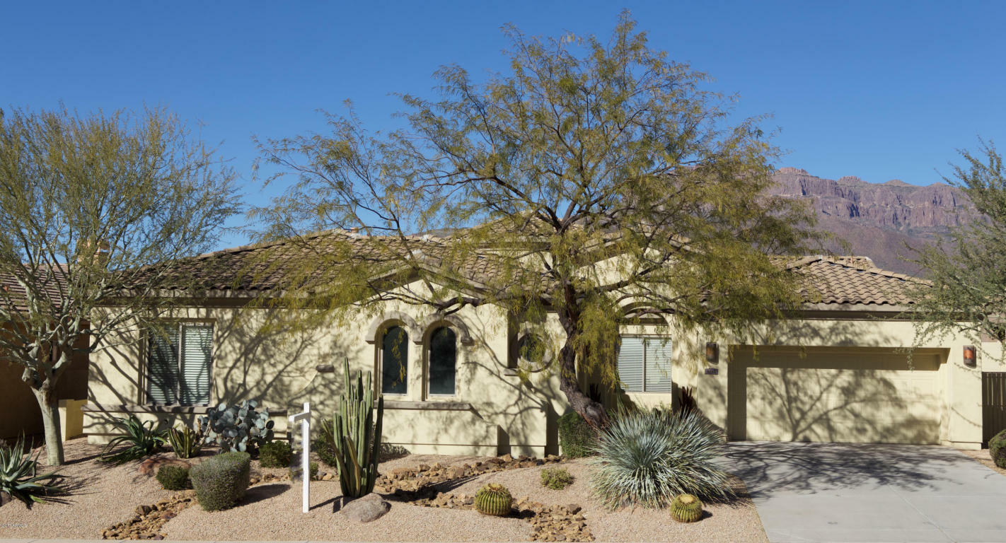 Property Photo:  8542 E Twisted Leaf Drive  AZ 85118 