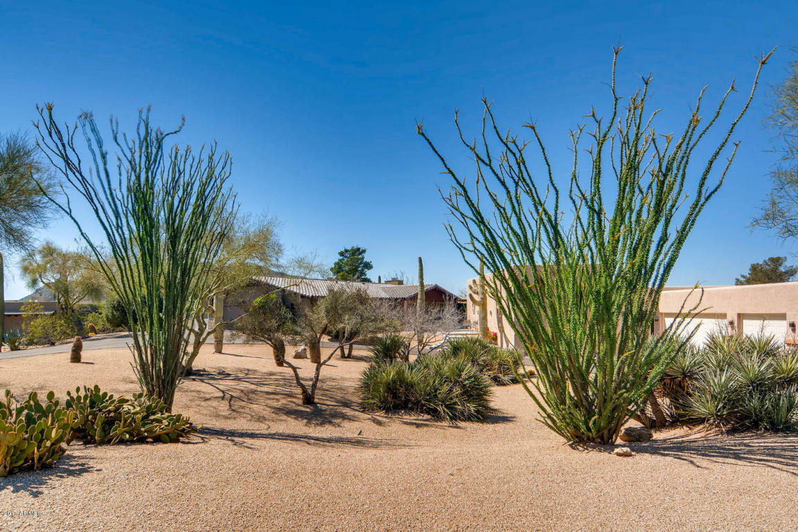 Property Photo:  37030 N Dream Street  AZ 85377 