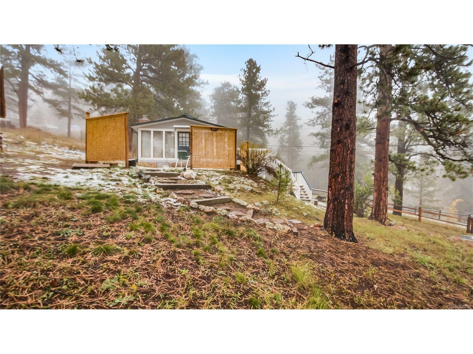 Property Photo:  293 Bendemeer Drive  CO 80439 