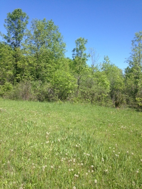 Property Photo:  Lt6 N Wind Lake Rd Lt7  WI 53185 