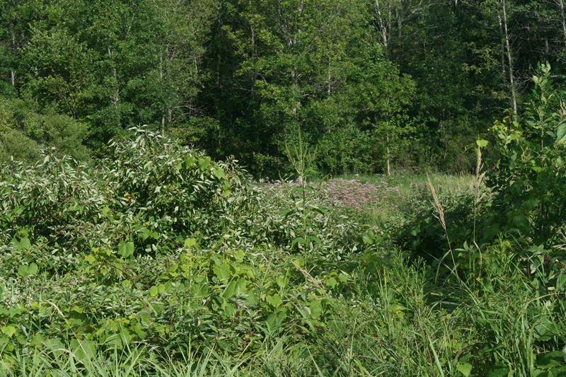 Property Photo:  1888 County Road I Lt4  WI 53024 