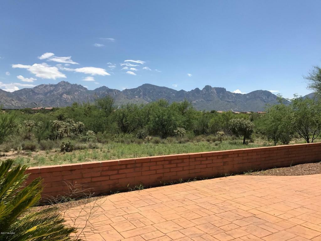 Property Photo:  13798 N Lobelia Way  AZ 85755 