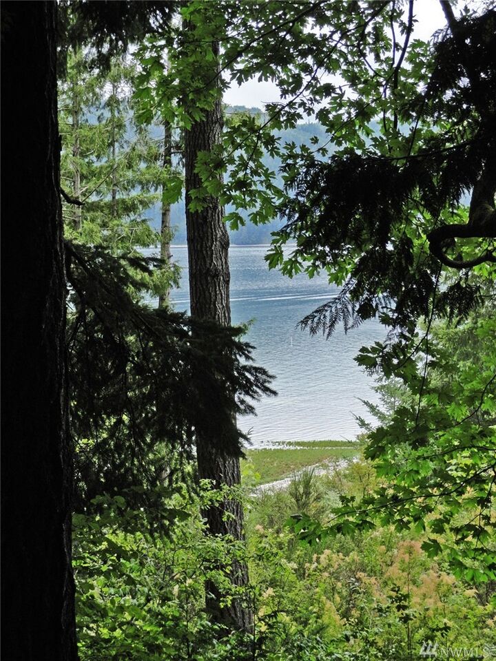 Property Photo:  110 N Jake Brake Lane  WA 98555 