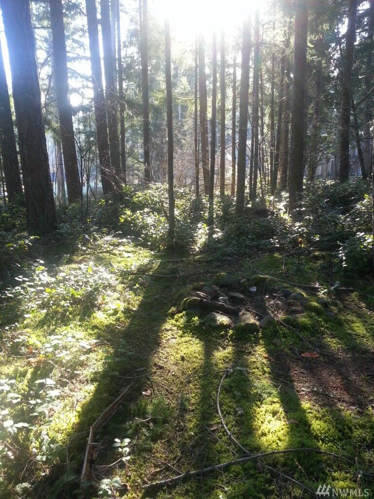 Property Photo:  22546 Clearland Lane SE  WA 98597 