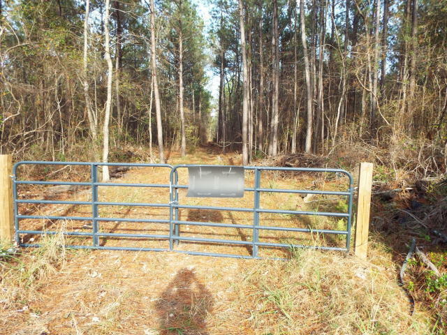 Property Photo:  0 Hwy 176  SC 29461 