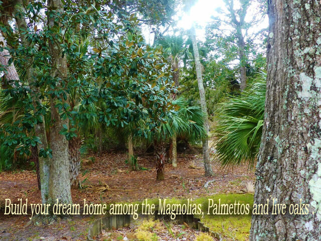 Property Photo: 42 Pender Lane SC 29438