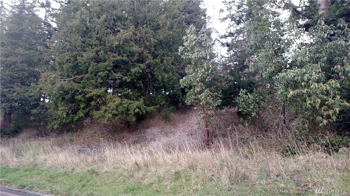 Property Photo:  837 Briar Rd  WA 98225 