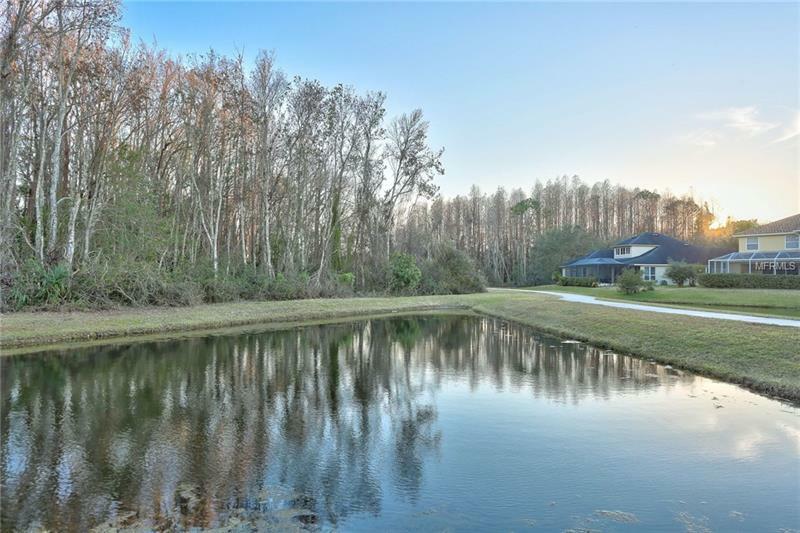 Property Photo:  2950 Northfield Drive  FL 34688 