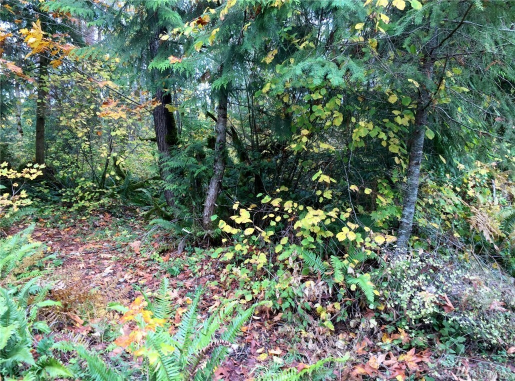 4008 370th St E  Eatonville WA 98328 photo