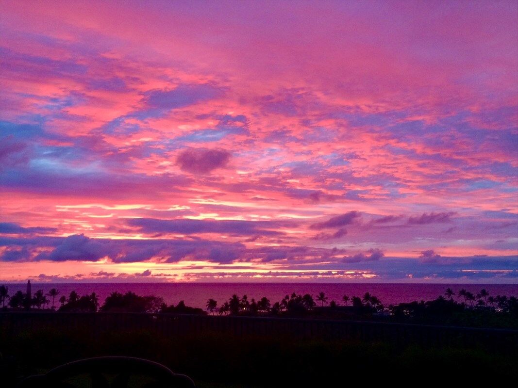 Property Photo:  62-3928 Lolii Place H4  HI 96743 