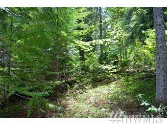 Property Photo: 40 Lot 40 Via Kachess Rd WA 98925