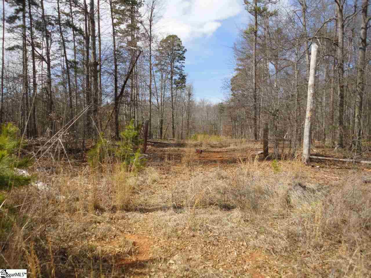 Property Photo: 115 Blount Road SC 29627