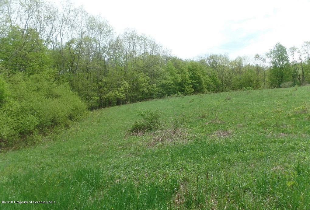 Property Photo:  Stalker Hill Road  PA 18465 