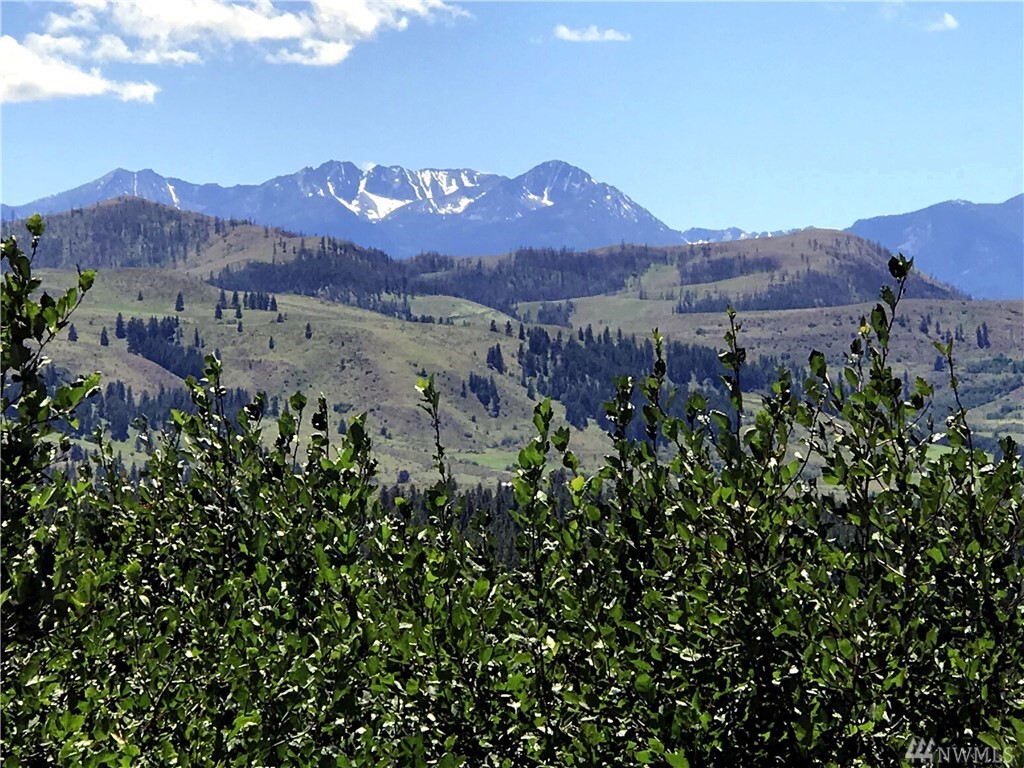 Property Photo: 101 Little Colt Lane WA 98862