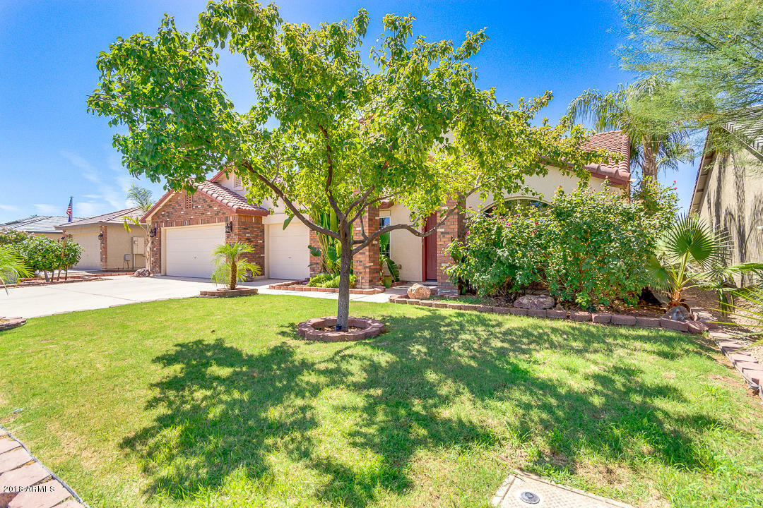 Property Photo:  3663 E Magnus Drive  AZ 85140 